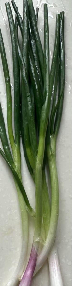 蔥