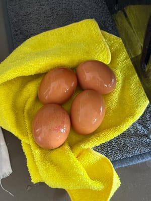 4 butir telur