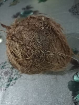 Rompete la noce di cocco e prendete il frutto, poi sbucciatelo. Io, amica mia, uso 1/2 noce di cocco.