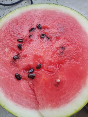 Chop the watermelon.