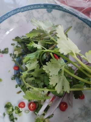 고수 잎을 씻어서 따로 보관해 둡니다.