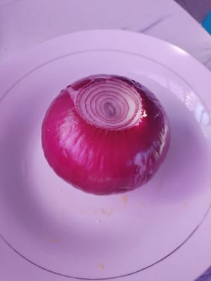 양파