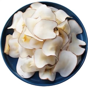 cocco di mare