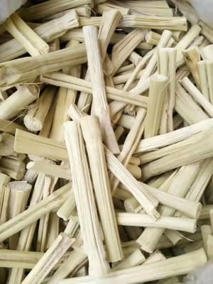 canna da zucchero essiccata