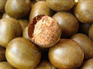 frutto del monaco