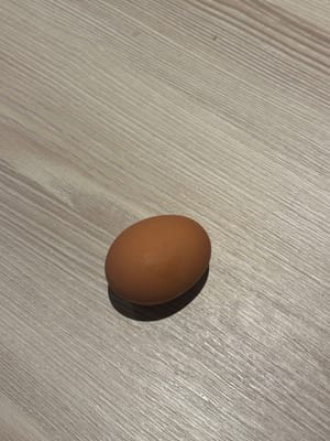 鸡蛋