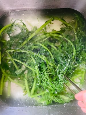 大鍋燒水,加1匙油、1小匙小蘇打,下雪裡紅煮1分鐘撈入涼水→鍋燒開(加油、小蘇打保綠),雪裡紅煮1分鐘趕緊扔涼水里泡——避免就變黃“菜渣”