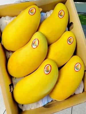 Isian dan hiasan buah