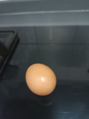 大雞蛋