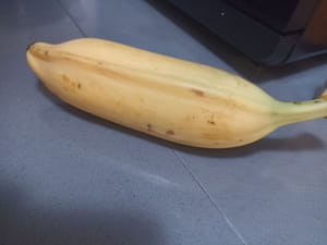 300公克大香蕉種子