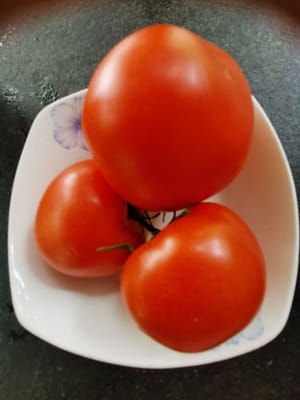 番茄