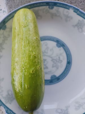 100 g di cetriolo