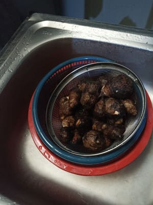 Cuci ubi talas