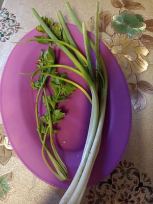 batang daun sledri dan daun bawang