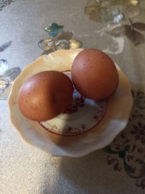 biji telur