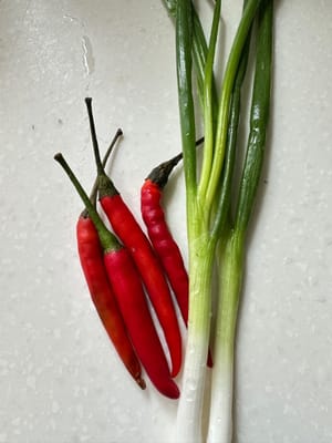 葱两条，只要绿色的一部分。小辣椒4个。