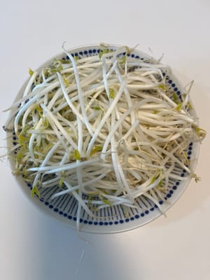 Germogli
