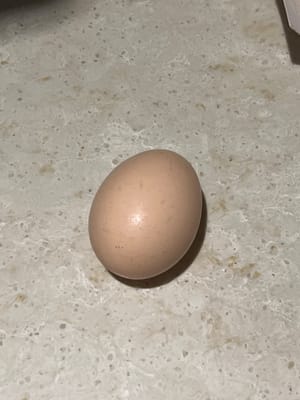 un huevo