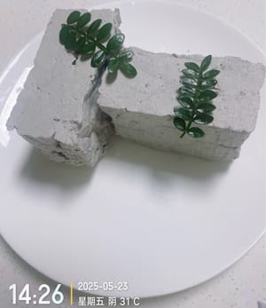 El tofu está listo: busca un molde hermético, ponle una gasa encima, vierte el pudin de tofu y presiona sobre él un objeto que pese unos 500 gramos durante unos 20 a 30 minutos. Yo nunca compraría el tipo que está afuera, ya que después de un tiempo producirá mucha agua.