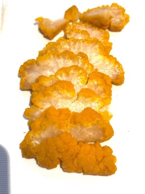 黃金菇切片