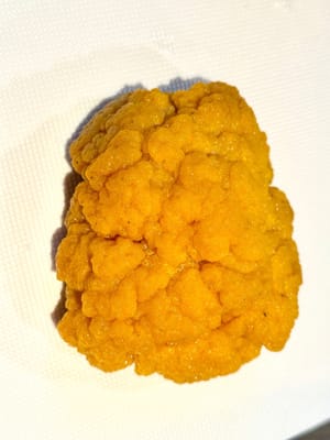 黃金菇2兩