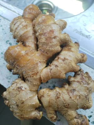 Jengibre