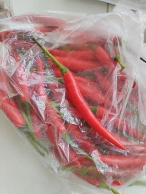 chile picante