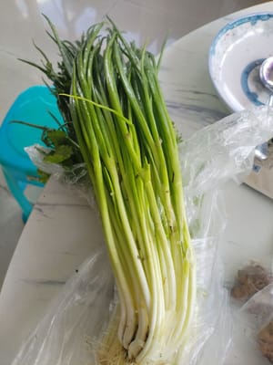 cebollino