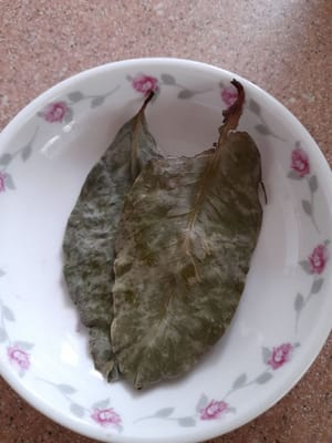Lembar daun salam