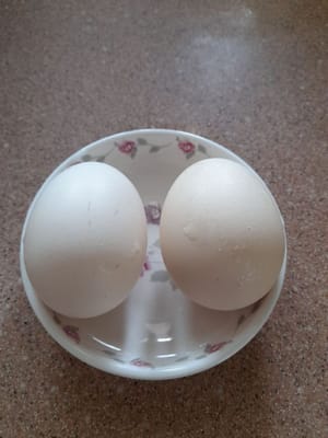 grano de huevo