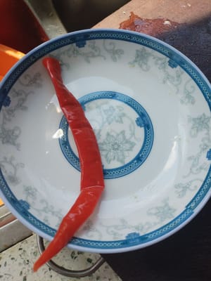 paprika merah