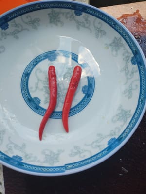 小米椒