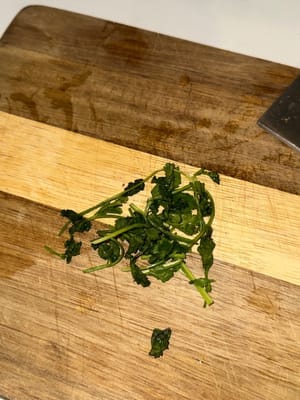 香菜葉