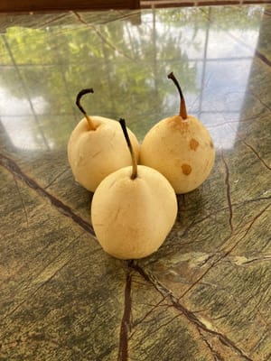 buah pir