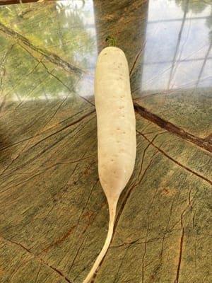 一塊蘿蔔
