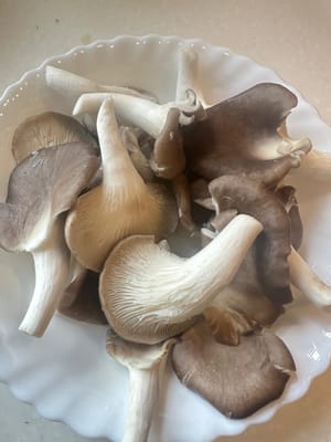 เห็ดนางฟ้า