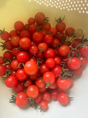 มะเขือเทศลูกเล็ก