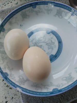 鸡蛋两枚