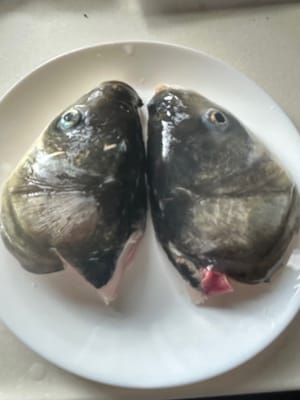 utilizzare carpa testa grossa, 800 g di testa di pesce.