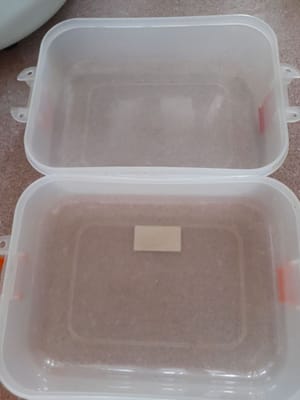 糯米飯煮熟後

準備一個焗盤，放入糯米飯，邊壓邊壓平，再放上雞絲，壓平。