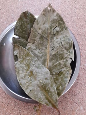 月桂葉