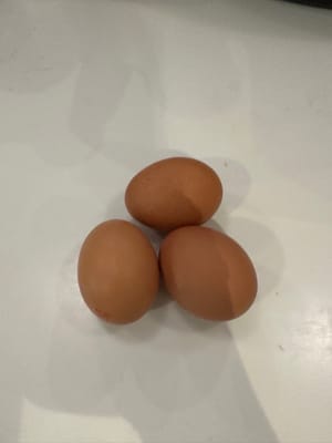 ไข่