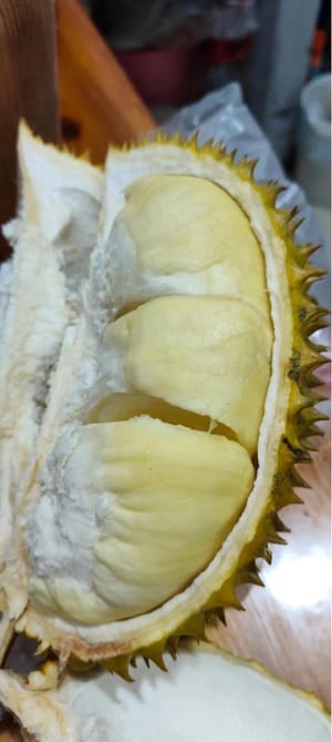 150g durian flesh