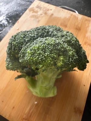 a head of broccoli