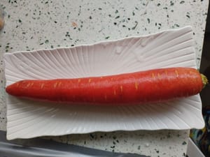 胡蘿蔔