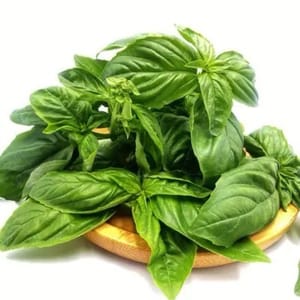 80 gram daun basil segar
