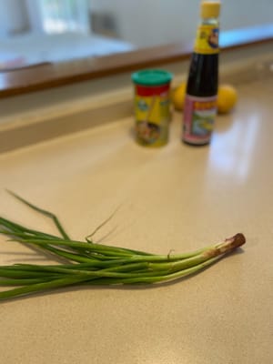 oignons verts de printemps