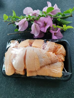 gr Pollo