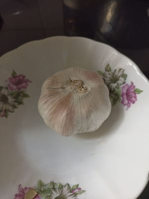 蒜球