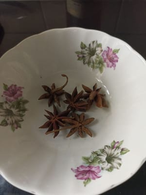 安尼斯塔种子